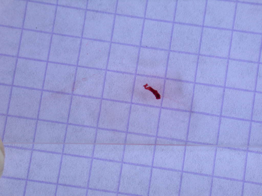 Con l''aiuto del microscopio... QUIZ